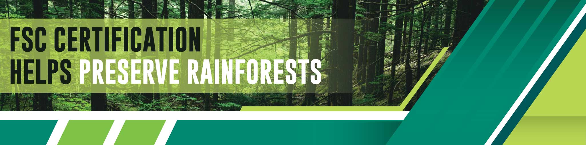 FSC Certification for Preserve Rainforests