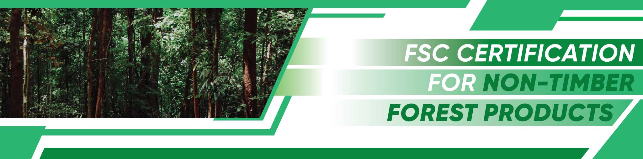 FSC Certification for Non-Timber Forest Products