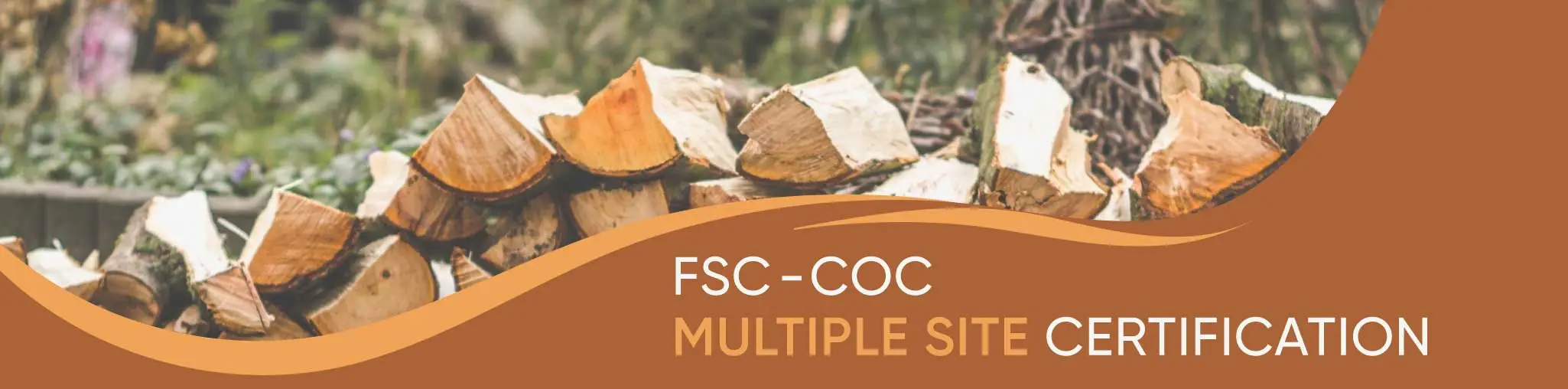 FSC-CoC Multiple Site Certification
